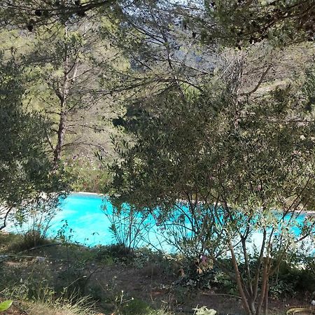 Villa CIGALONS en pleine pinède + PISCINE chauffée Auriol Extérieur photo