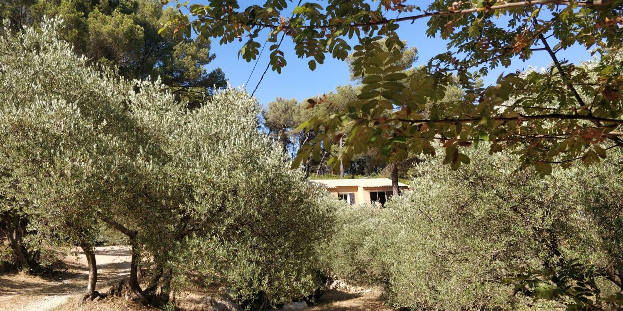 Villa CIGALONS en pleine pinède + PISCINE chauffée Auriol Extérieur photo