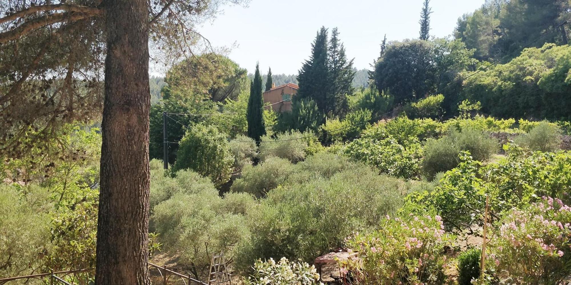 Villa CIGALONS en pleine pinède + PISCINE chauffée Auriol Extérieur photo