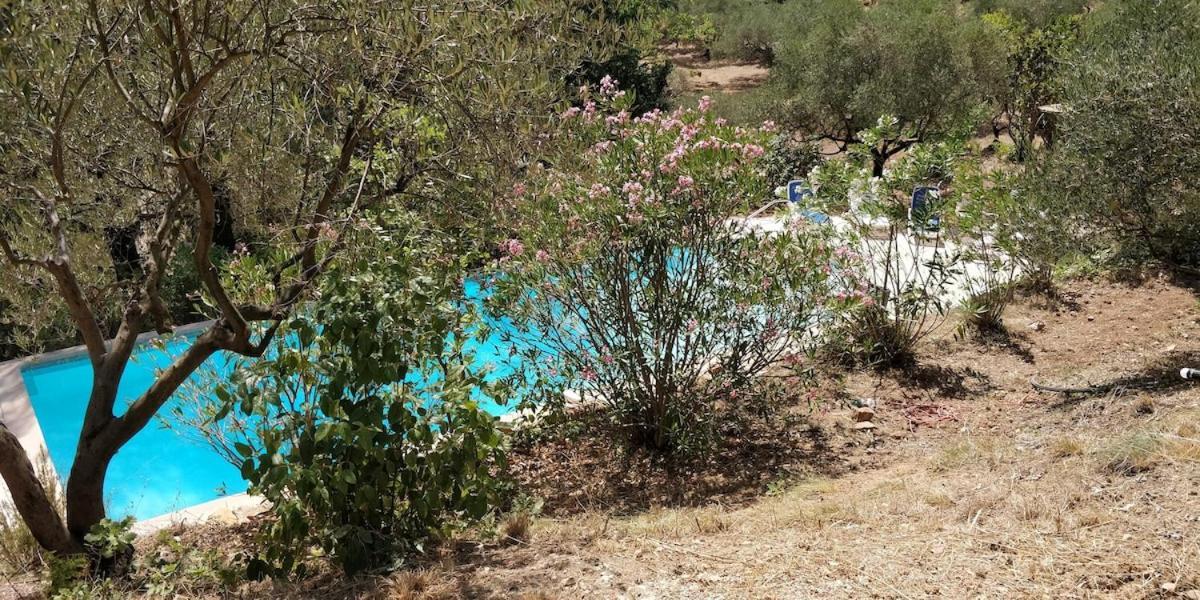 Villa CIGALONS en pleine pinède + PISCINE chauffée Auriol Extérieur photo